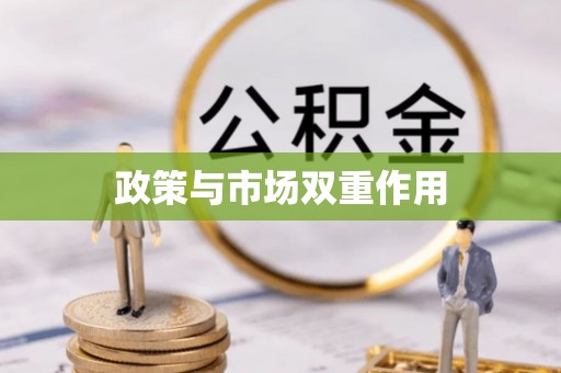 阳谷政策与市场双重作用