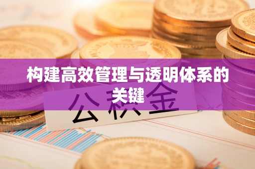 阳谷构建高效管理与透明体系的关键