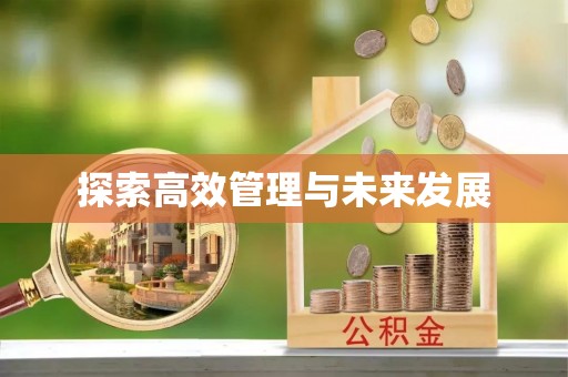 阳谷探索高效管理与未来发展