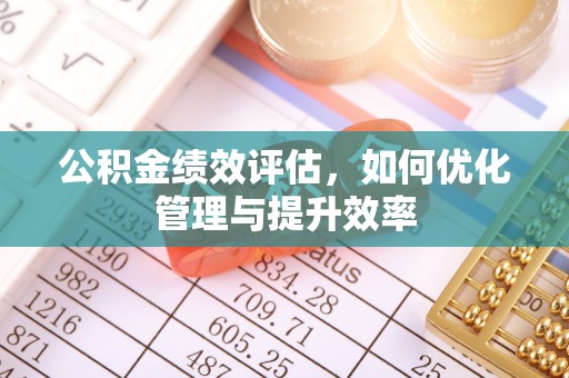 阳谷公积金绩效评估，如何优化管理与提升效率