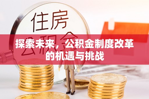 阳谷探索未来，公积金制度改革的机遇与挑战