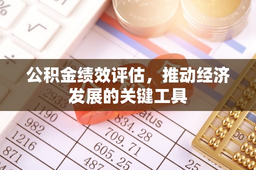 阳谷公积金绩效评估，推动经济发展的关键工具