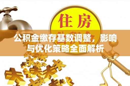 阳谷公积金缴存基数调整，影响与优化策略全面解析