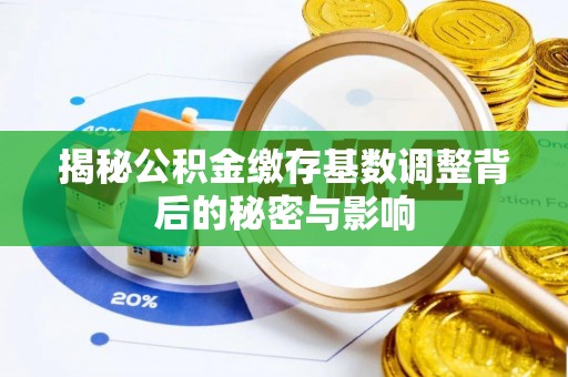 阳谷揭秘公积金缴存基数调整背后的秘密与影响