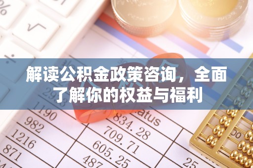 阳谷解读公积金政策咨询，全面了解你的权益与福利
