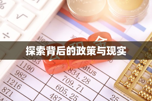 阳谷探索背后的政策与现实