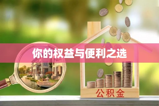 阳谷你的权益与便利之选