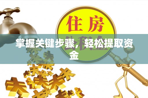 阳谷掌握关键步骤，轻松提取资金