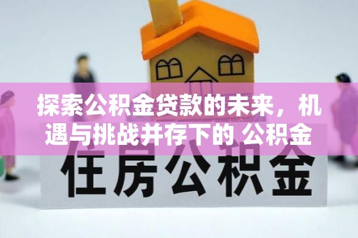 阳谷探索公积金贷款的未来，机遇与挑战并存下的 公积金贷款风险防控