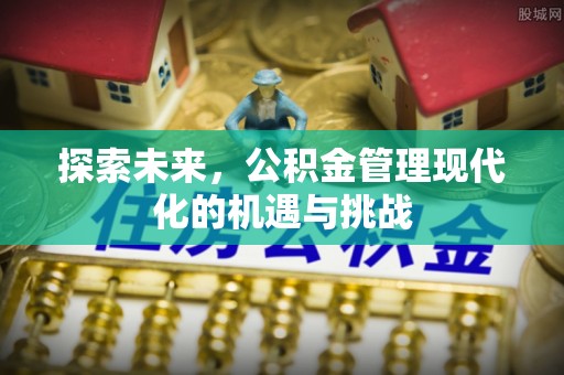 阳谷探索未来，公积金管理现代化的机遇与挑战