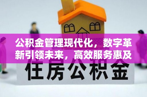 阳谷公积金管理现代化，数字革新引领未来，高效服务惠及民生