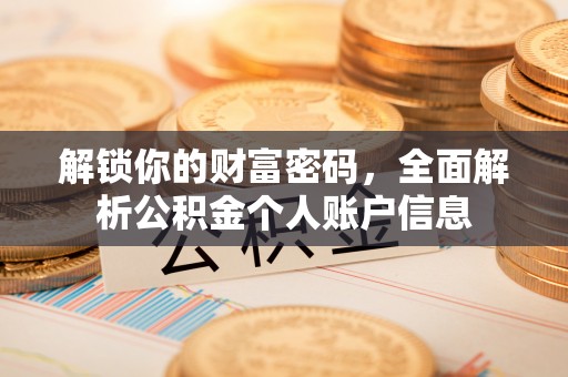 阳谷解锁你的财富密码，全面解析公积金个人账户信息