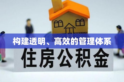 阳谷构建透明、高效的管理体系