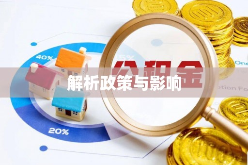 阳谷解析政策与影响