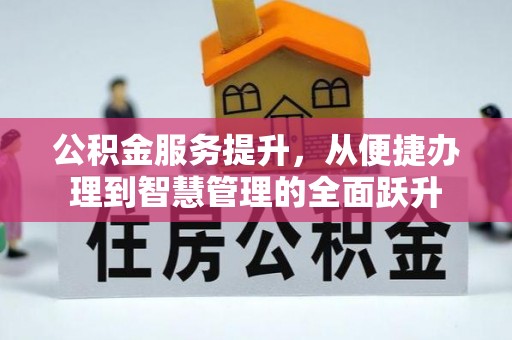 阳谷公积金服务提升，从便捷办理到智慧管理的全面跃升