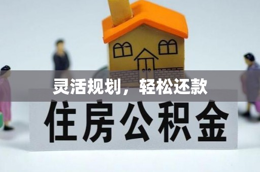 阳谷灵活规划，轻松还款