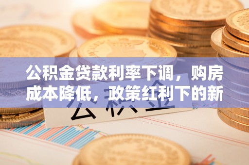 阳谷公积金贷款利率下调，购房成本降低，政策红利下的新机遇