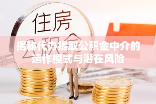 阳谷揭秘代办提取公积金中介的运作模式与潜在风险