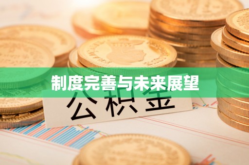 阳谷制度完善与未来展望