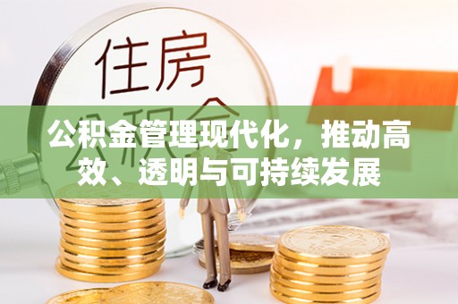 阳谷公积金管理现代化，推动高效、透明与可持续发展