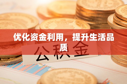 阳谷优化资金利用，提升生活品质