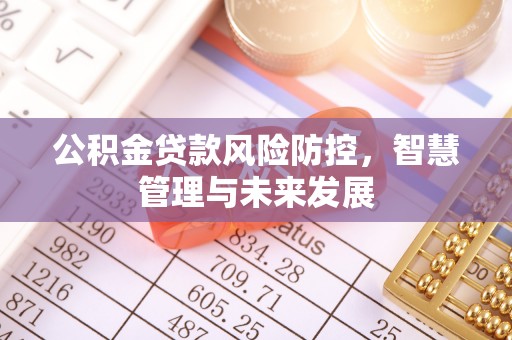 阳谷公积金贷款风险防控，智慧管理与未来发展