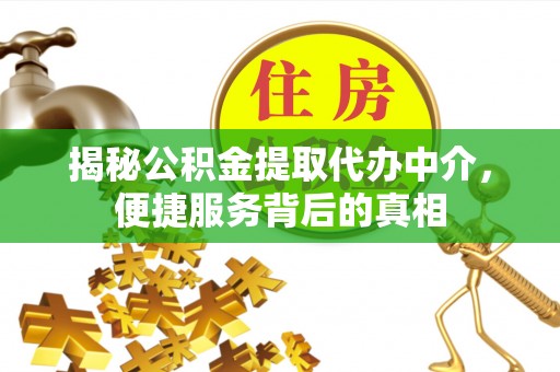 阳谷揭秘公积金提取代办中介，便捷服务背后的真相