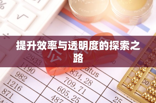 阳谷提升效率与透明度的探索之路