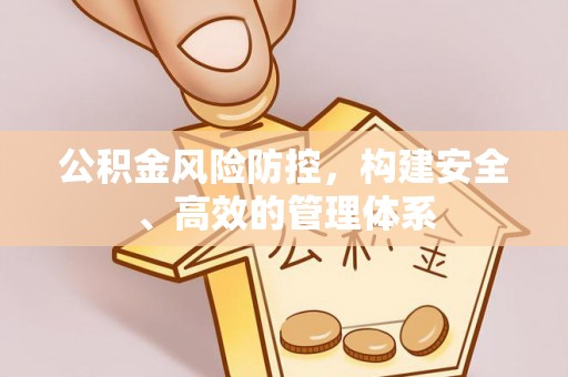 阳谷公积金风险防控，构建安全、高效的管理体系