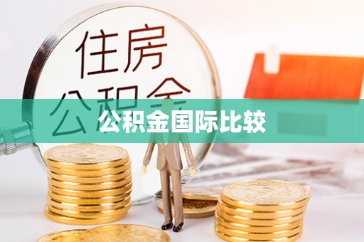 阳谷公积金国际比较