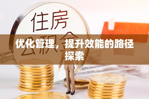 阳谷优化管理，提升效能的路径探索
