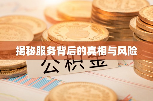 阳谷揭秘服务背后的真相与风险