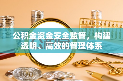 阳谷公积金资金安全监管，构建透明、高效的管理体系