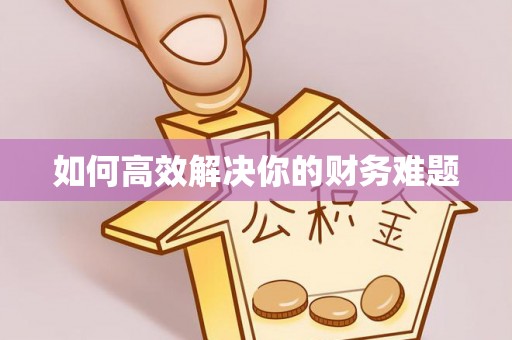 阳谷如何高效解决你的财务难题