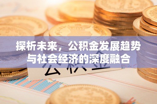 阳谷探析未来，公积金发展趋势与社会经济的深度融合