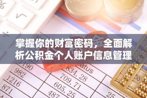 阳谷掌握你的财富密码，全面解析公积金个人账户信息管理