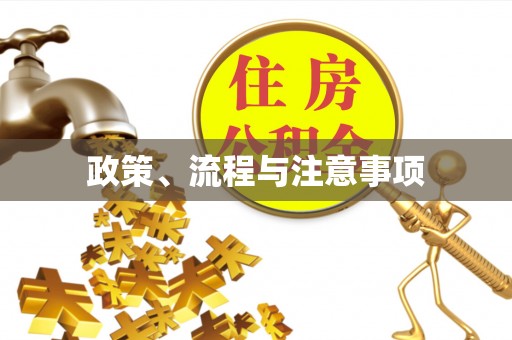阳谷政策、流程与注意事项