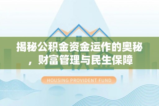 阳谷揭秘公积金资金运作的奥秘，财富管理与民生保障