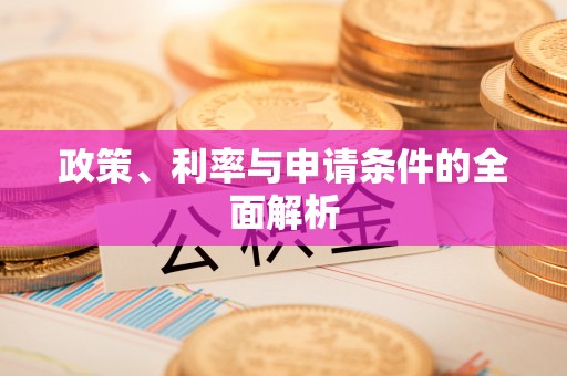 阳谷政策、利率与申请条件的全面解析