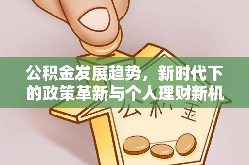 阳谷公积金发展趋势，新时代下的政策革新与个人理财新机遇