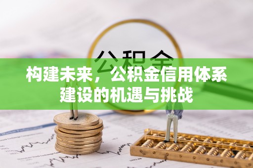 阳谷构建未来，公积金信用体系建设的机遇与挑战