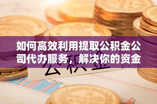 阳谷如何高效利用提取公积金公司代办服务，解决你的资金难题
