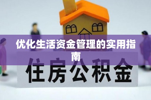 阳谷优化生活资金管理的实用指南