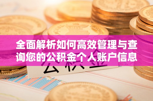 阳谷全面解析如何高效管理与查询您的公积金个人账户信息