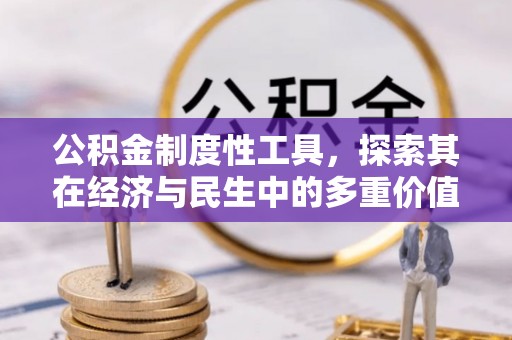 阳谷公积金制度性工具，探索其在经济与民生中的多重价值