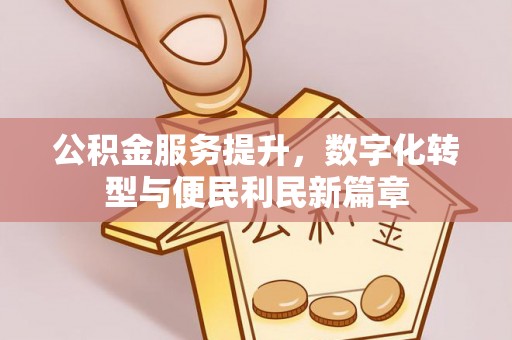 阳谷公积金服务提升，数字化转型与便民利民新篇章