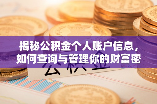 阳谷揭秘公积金个人账户信息，如何查询与管理你的财富密码