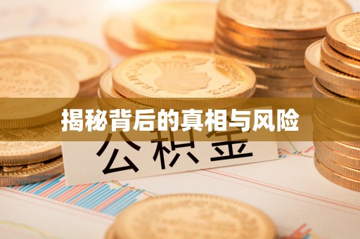 阳谷揭秘背后的真相与风险