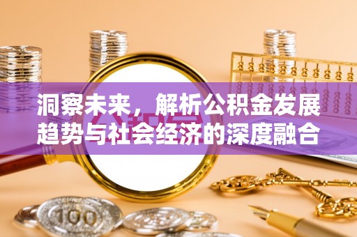 阳谷洞察未来，解析公积金发展趋势与社会经济的深度融合