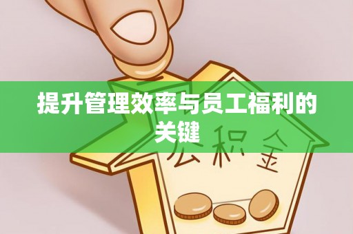 阳谷提升管理效率与员工福利的关键